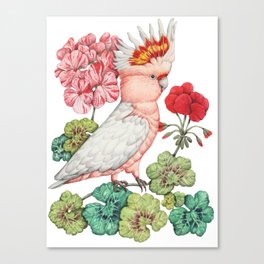 Parrot floral Canvas Print