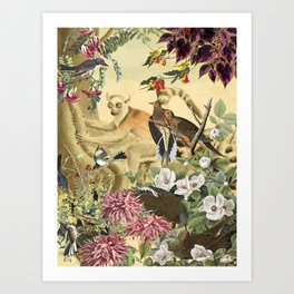 Ringtailed Lemur Art Print