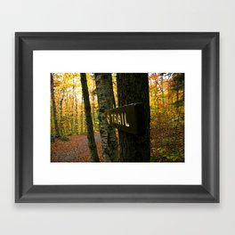 The Trail  Framed Art Print