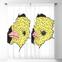 Heeere's Chicky Blackout Curtain