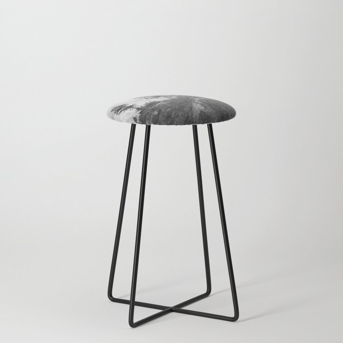 PNW Black and White Counter Stool