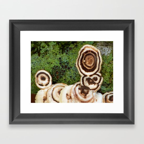 fungus Framed Art Print