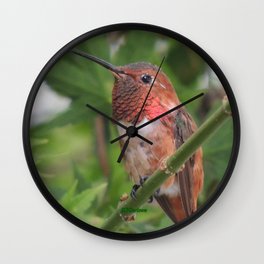 Hummingbird in the Japanese Maple Wall Clock