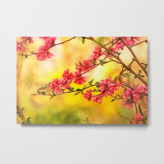 Spring is beautiful Metal Print