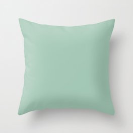 1950s Mint Green Solid Throw Pillow