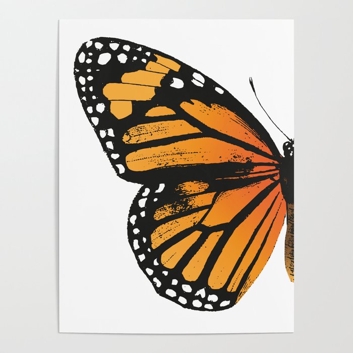 Monarch Butterfly | Left Butterfly Wing | Vintage Butterflies | Poster