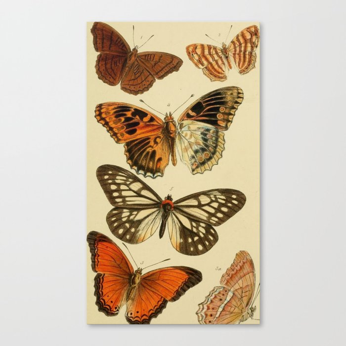 Butterfly Magic Canvas Print
