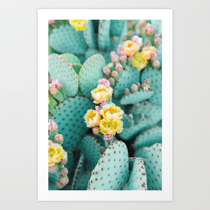 Bunny Ears Prickly Pear Cactus II Art Print