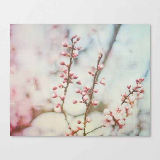 Small & Soft Canvas Print