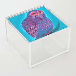 Cute Night Owl Acrylic Box
