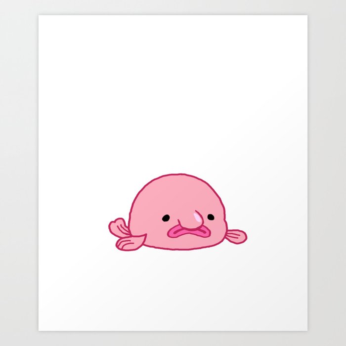 44 Best Blobfish ideas  blobfish, cute animals, ugly animals