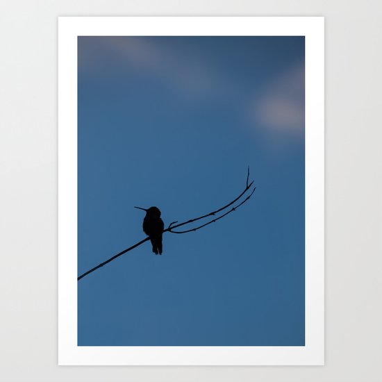 Hummingbird Silhouette Art Print