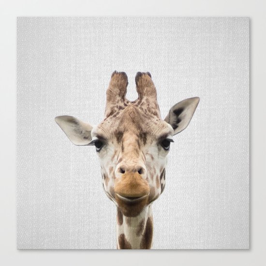 Giraffe - Colorful Canvas Print