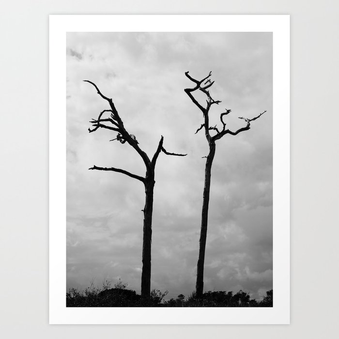 Two dead trees black and white  Art Print