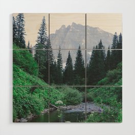 Mountain Through The Lush Forest Wood Wall Art