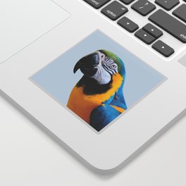 Parrot Photography | Blue and Yellow Macaw | Tropical Birds | Nature | Beauty Wildlife Sticker