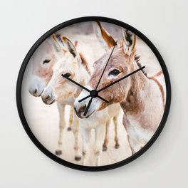 Three Donkeys in Baja, Mexico Wall Clock