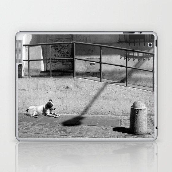 Stray Dog Laptop & iPad Skin