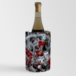Devil's Matchstick Lichen Wine Chiller