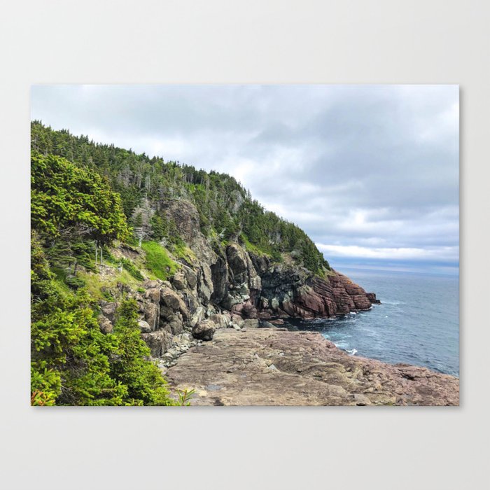 Newfoundland Coastline Canvas Print