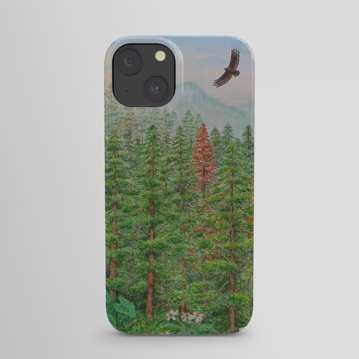 A Day of Forest(8). (coniferous forest) iPhone Case