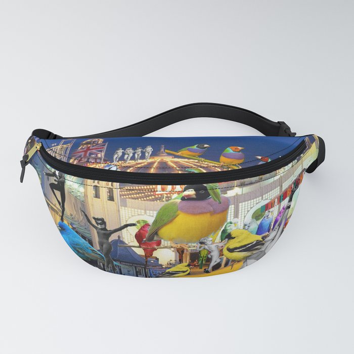 brighton fanny pack