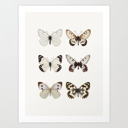 Butterflies in Neutral Colors Art Print