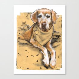 Daily dogs: three of three Canvas Print