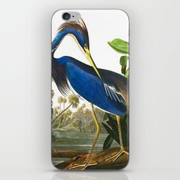 John James Audubon - Louisiana Heron iPhone Skin