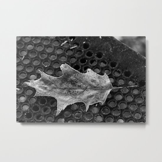 frosted Metal Print