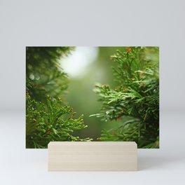 Evergreen Rainy Bokeh Mini Art Print