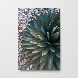 Desert Plant Metal Print | Foliage, Plants, Digital, Botanical, Color, Cactus, Succulent, Photo, Nature, Green 