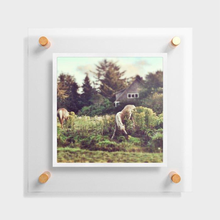 Grazing in the Golden Hour Floating Acrylic Print