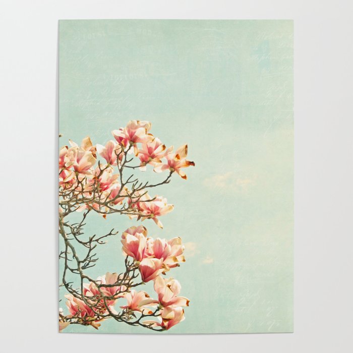 Pink Magnolia Flowers on Aqua Blue Green and French Script Poster