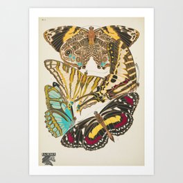 Butterfly and Moth Print by E.A. Seguy, 1925 #14 Art Print