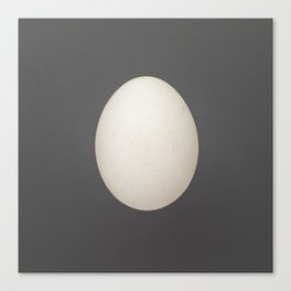 white egg Canvas Print