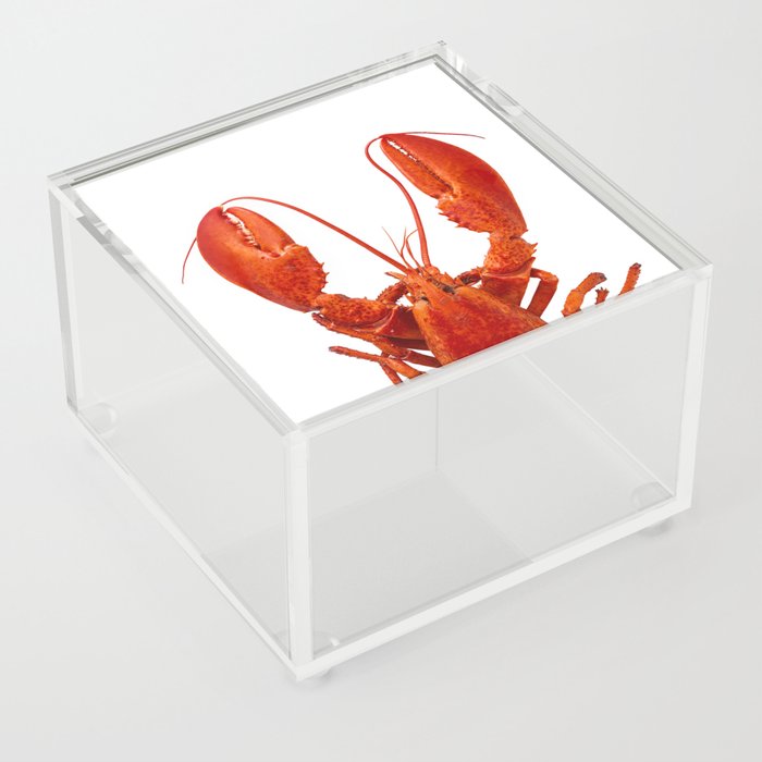 Atlantic Lobster 2 Acrylic Box