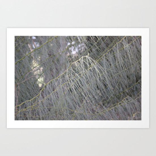 Spirit Of The Forest Art Print