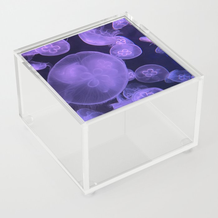 Purple Jellyfish, Ocean Creatures Acrylic Box