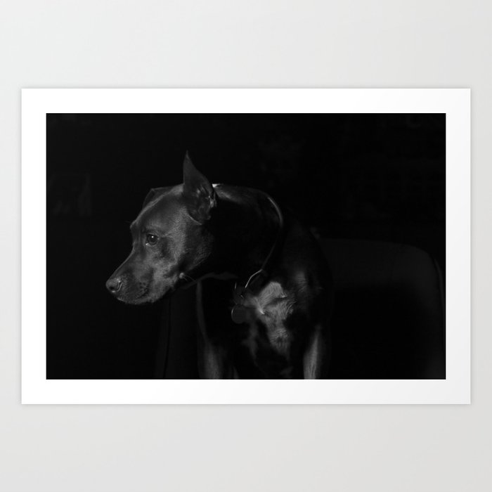 The black dog 7 Art Print