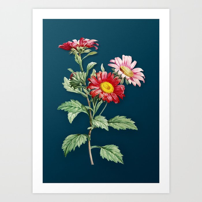 Botanical Illustration Digital Flower Art Print