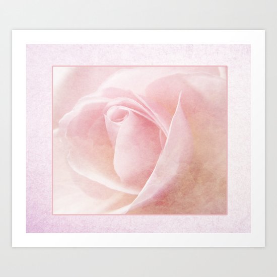 Baby Pink Rose Art Print
