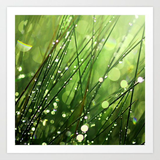After the Rain Art Print