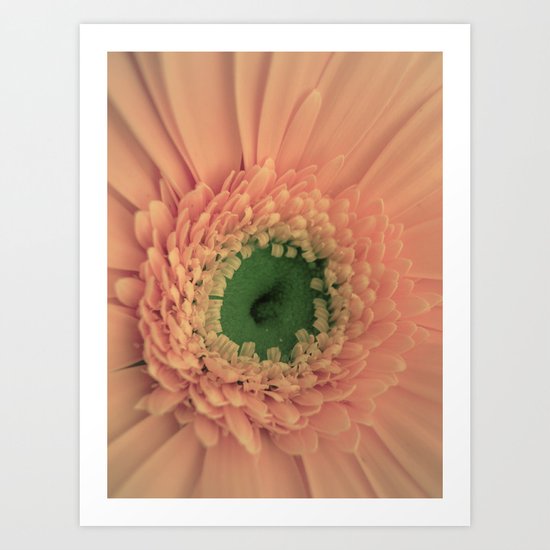 Peach Love Art Print