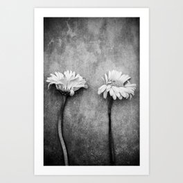 Two Dead Flowers Art Print