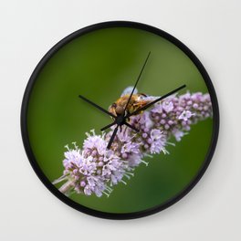 Insect sitting on a lilac flower Wall Clock