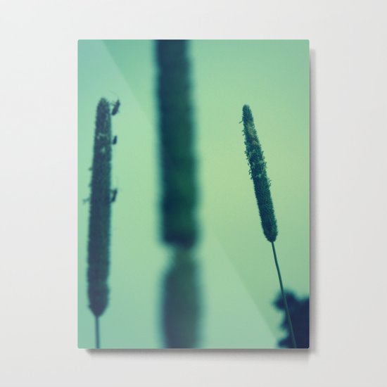 Stalked Metal Print