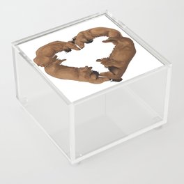 I Heart Longhaired Dachshunds Acrylic Box