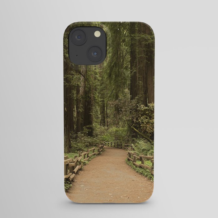 muir woods iPhone Case