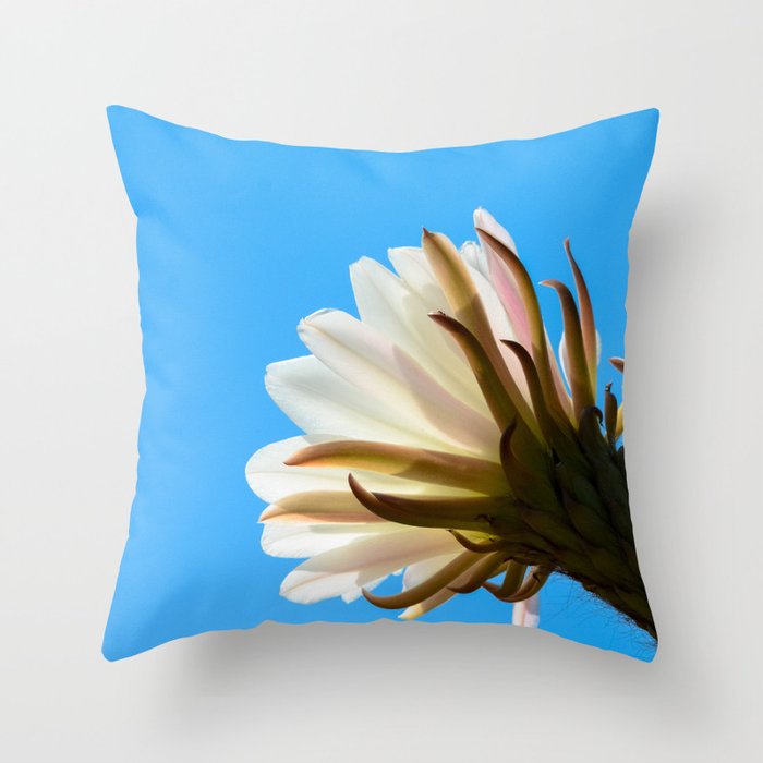 Desert Flower Throw Pillow
